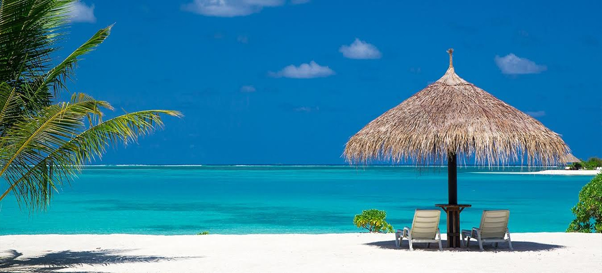 A trip to Bandipur with ooty packages